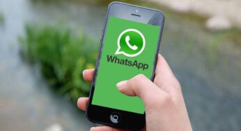 Hai un amico segreto tra i tuoi contatti di WhatsApp: ecco come trovarlo e cosa devi dirgli